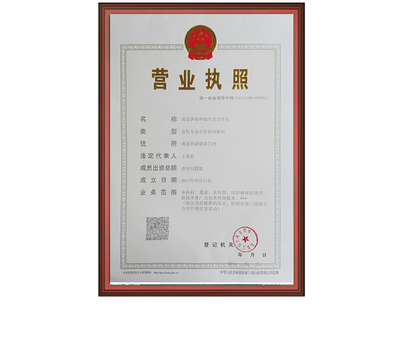 皂角刺 優(yōu)質大刺選貨 原產地直供 道地藥材 河南嵩縣 七天無理由退換貨
